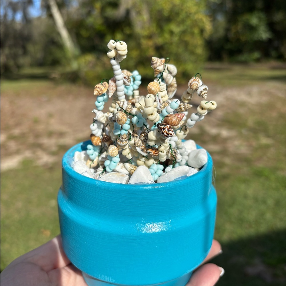 Unique Succulent in Blue Pot
